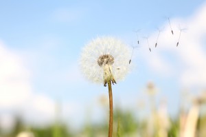 Stress chez les seniors : comment le reconnaître en EMS ?